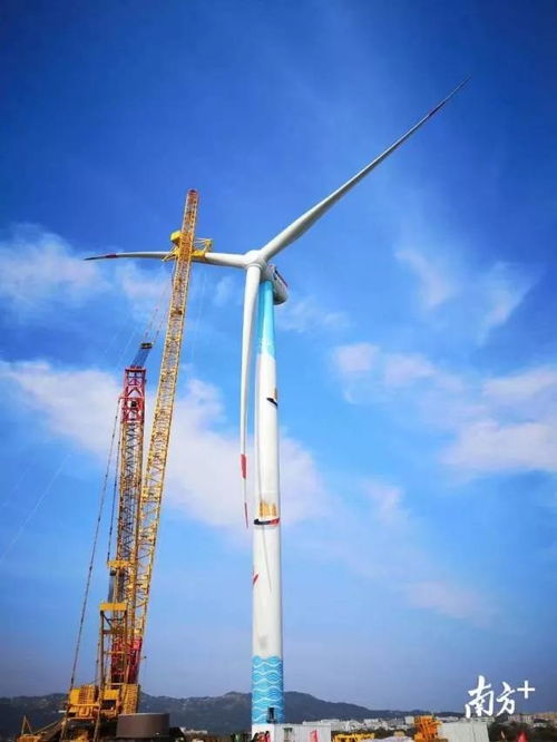 巨无霸 濠江安家 临港新区 再出发